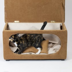 Hocker mit integriertem Hundebett und Kissen