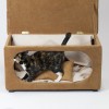 Hocker mit integriertem Hundebett und Kissen
