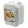 Mydło w płynie  PROFESSIONAL Jasmine and Orange, 5L
