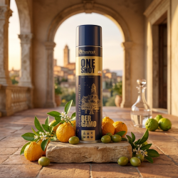 Odświeżacz powietrza hotelowy BERGAMO 600ml