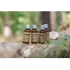 Hotel Shampoo Botanika 30ml 100Stk.