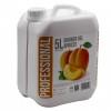Professional 5L